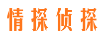 汝城外遇出轨调查取证